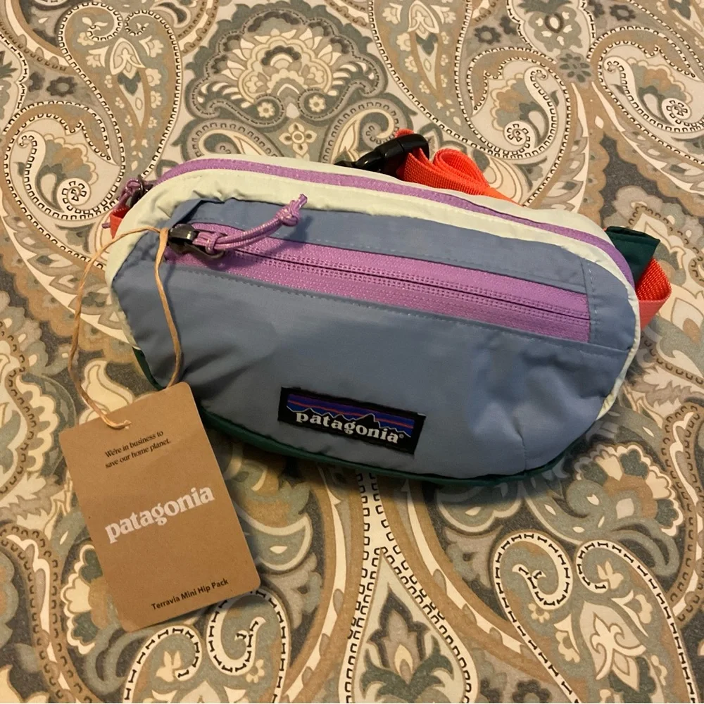 NWT Patagonia Terravia Mini Hip Pack 1L - Picture 1 of 13